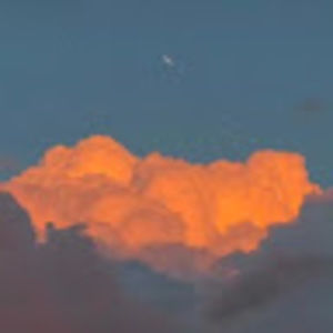 Meet your Posher, Bella